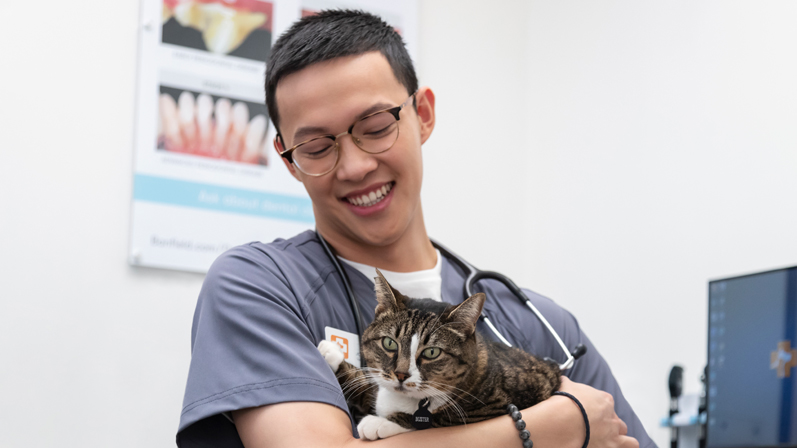 A doctor with a cat in the clinic