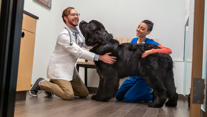 Two doctors with a big black dog