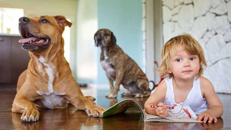 A kid with two dogies