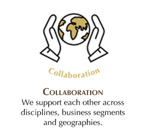 Collaboration - We support each other across disciplines, business segments and geographies.