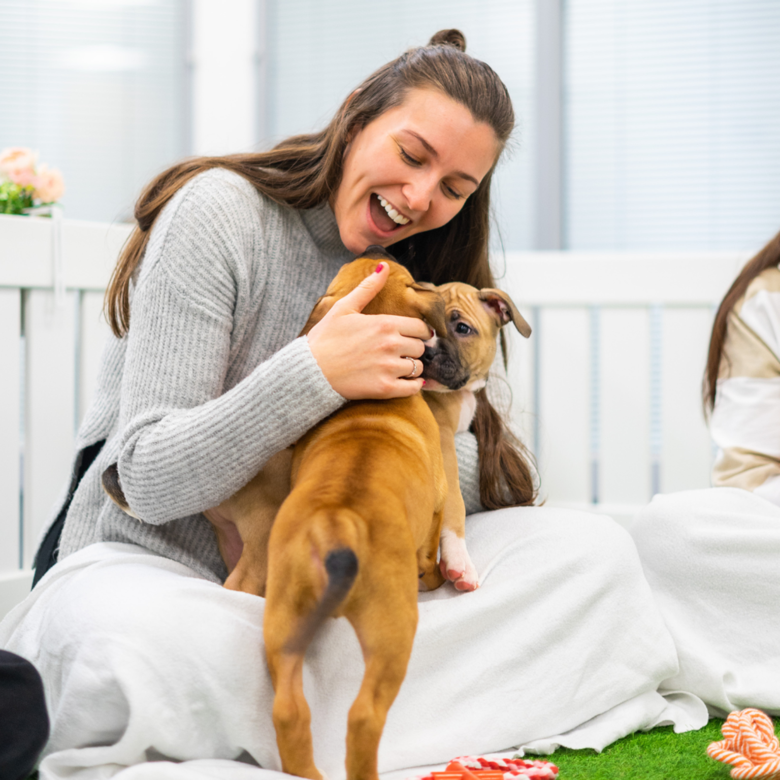 BD associate sitting indoors holding and playing with a puppy during a workplace wellbeing activity.