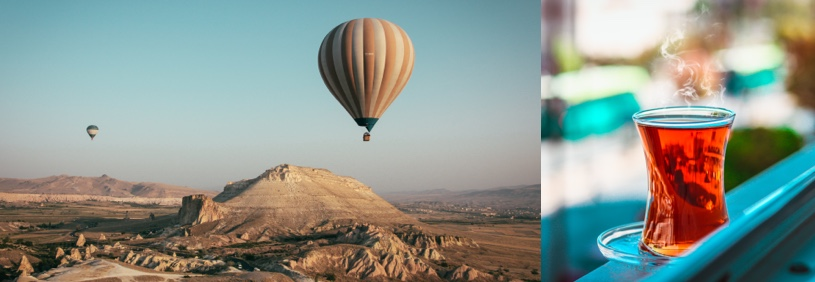 PLACEHOLDER - Alternative Text