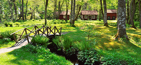 Image for Sweden
