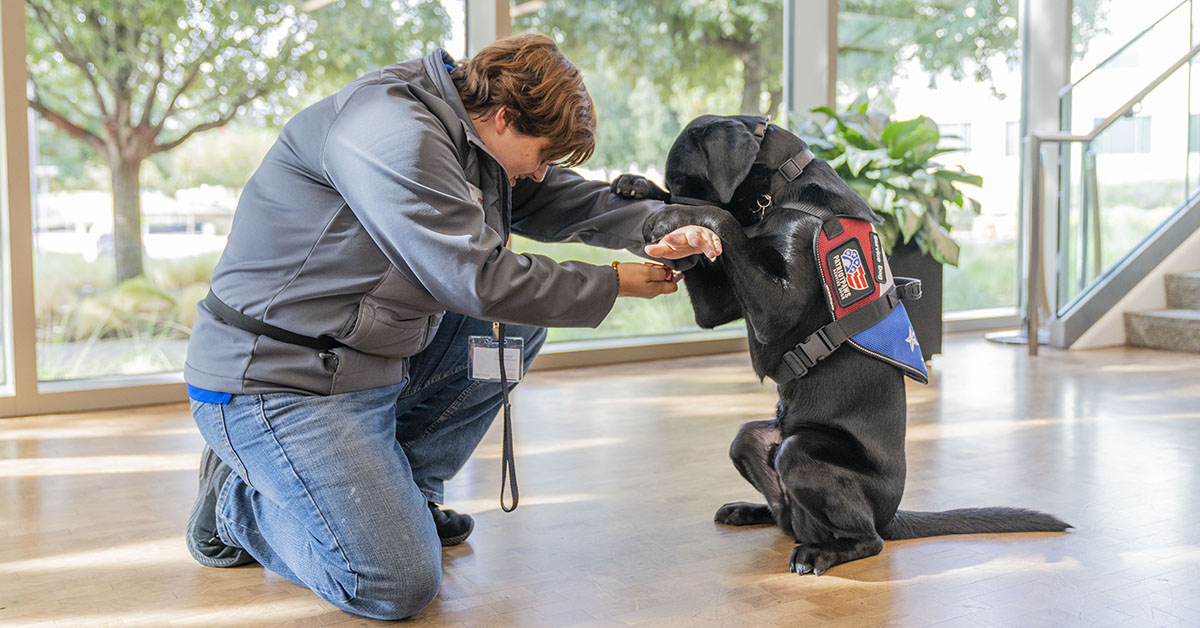 Capital One partnering with Patriot PAWS, a non-profit organization, to raise a service dog in training in an office setting at Capital One