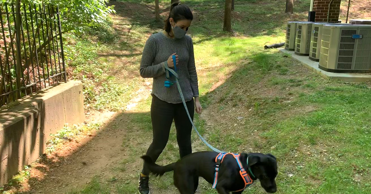 Capital One associate Miranda navigates working from home in small spaces with her dog