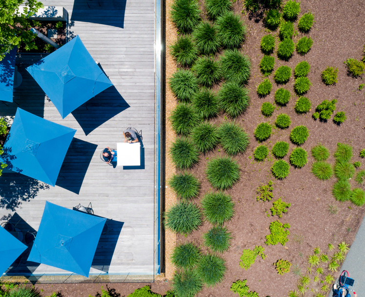 Bird's eye view of outside deck and greenery