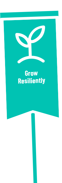grow resiliently