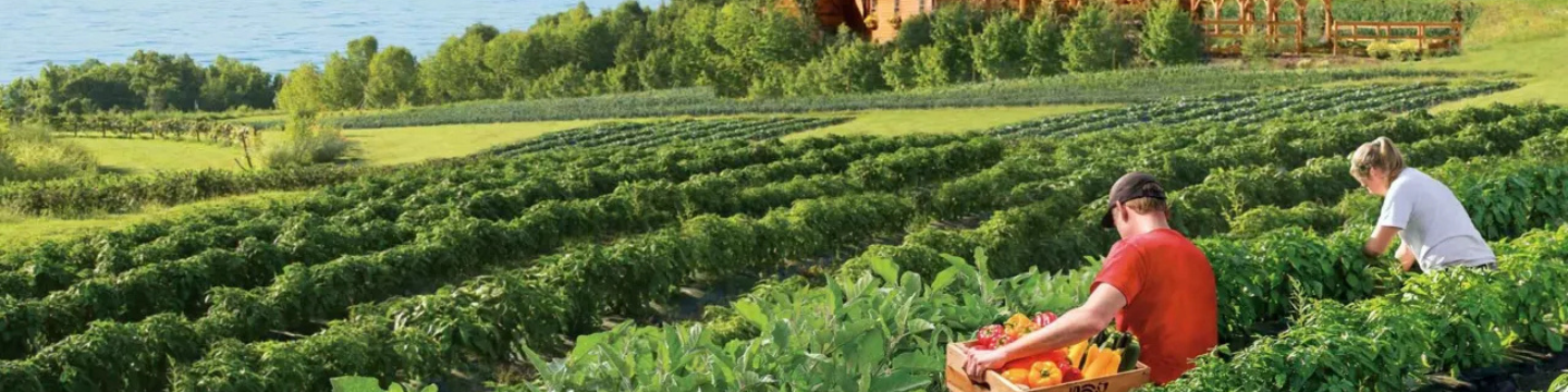 Grow a Career That Matters at the Wegmans Organic Farm & Orchard