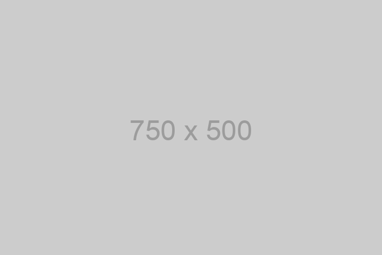 750x500 / 450x500 placeholder