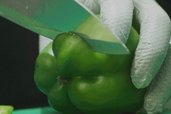 
El miembro de Chipotle Kitchen Crew prepara pimientos verdes frescos cortándolos con un cuchillo en la tabla de cortar.