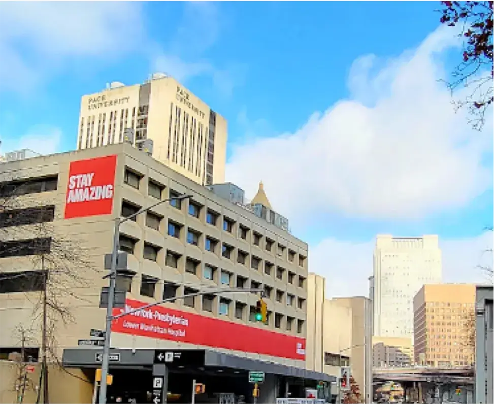 Lower Nanhattan Hospital