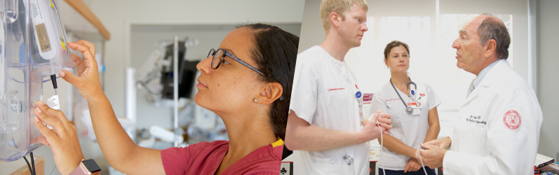 Nursing Practice and Patient Education Image