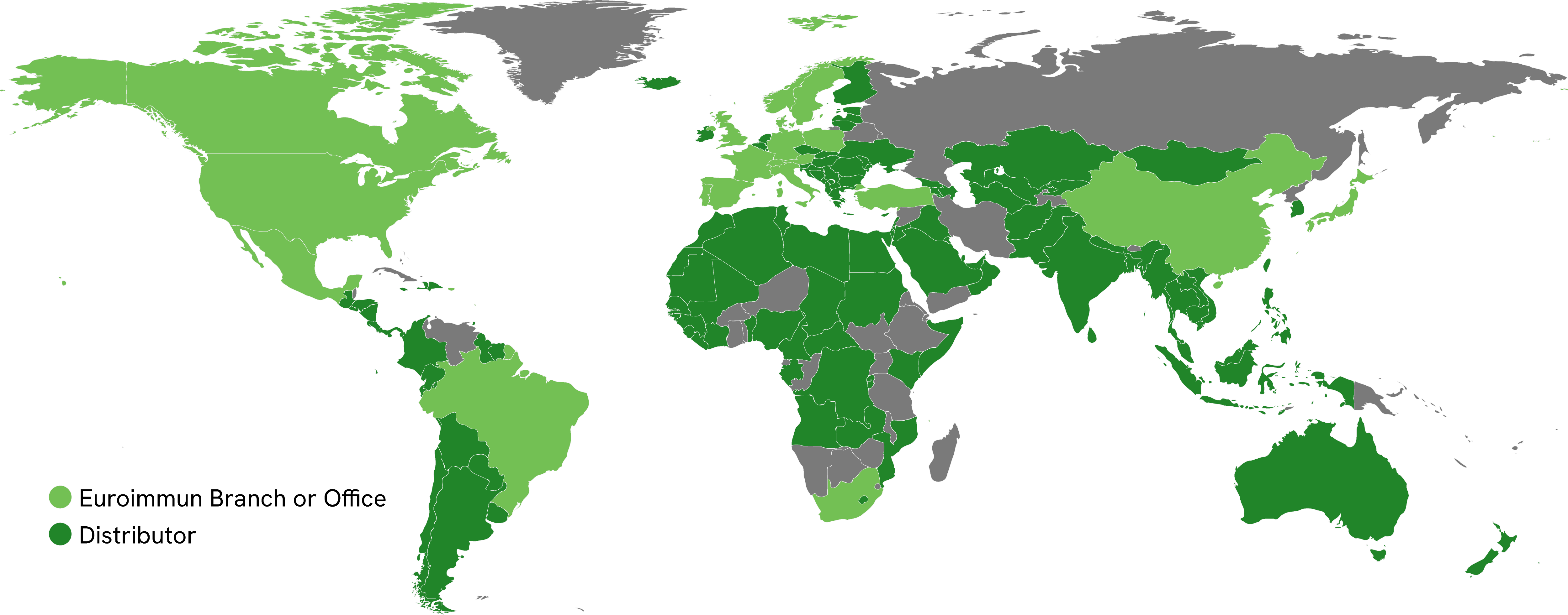 internship program map of the world
