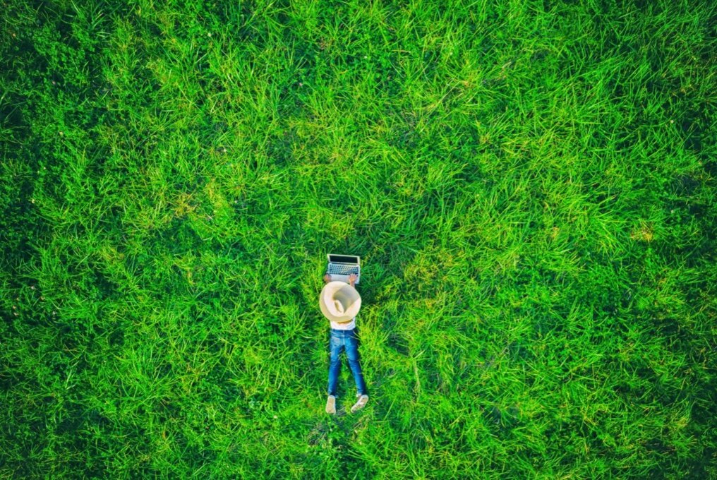 Women using laptop on green grass.