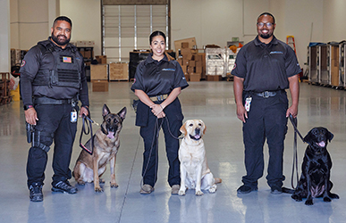 Three uniformed K‑9 handlers stand inside a large warehouse facility with their working dogs seated calmly at their sides, surrounded by pallets and equipment in the background.