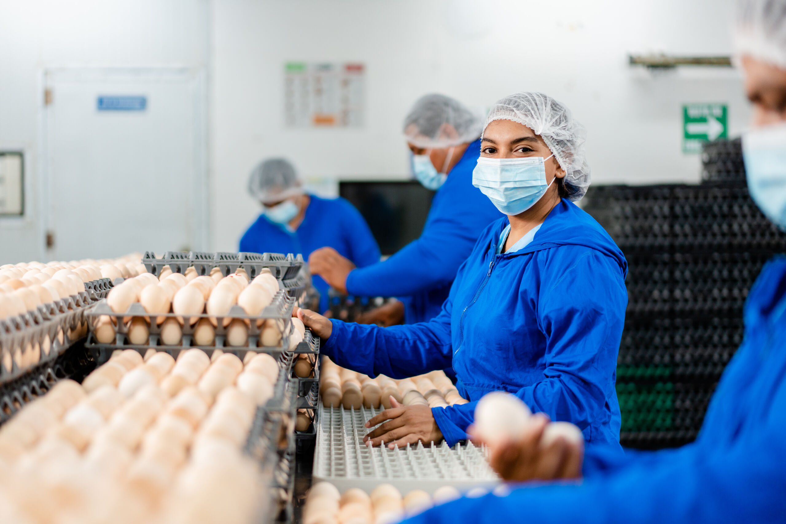 Colaboradores de Cargill clasificando y manipulando huevos en una planta de procesamiento de alimentos, utilizando equipo de protección para garantizar la calidad y la seguridad alimentaria.