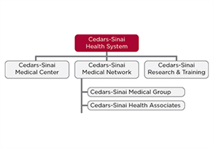 Cedars Sinai Health System graph
