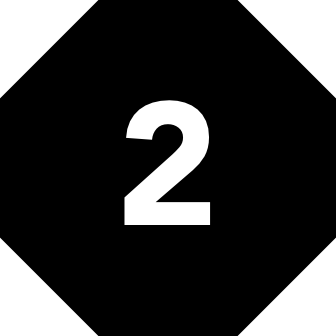 Octagon Two