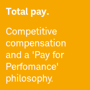 Charles Schwab Total Pay & Compensation graphic