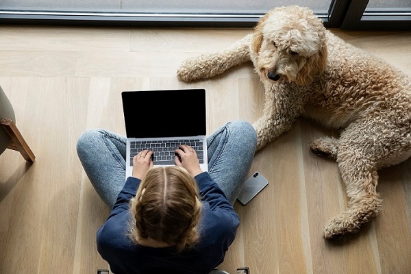Charles Schwab Hybrid Work from Home with your Dog