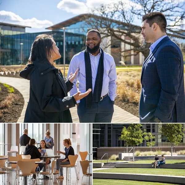 Charles Schwab Campus and Corporate Locations Photo Collage