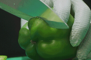 Chipotle Kitchen Crew member prepping fresh green bell peppers by chopping with a knife on the cutting board.