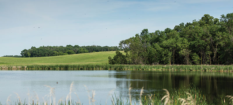 Central Minnesota scenery