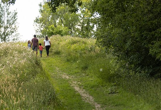 People walking in park