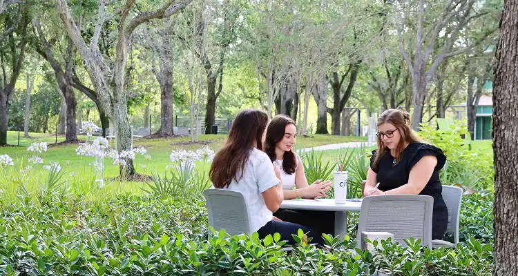 Students working together sitting outside