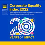 Corporate Equity Index 2022