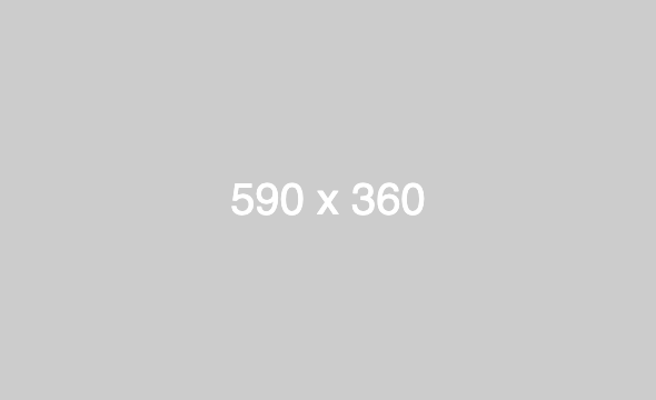 590x360 placeholder image