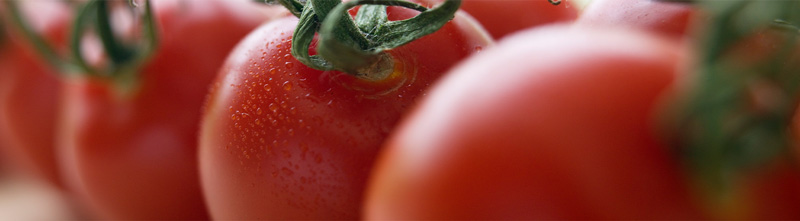 A closeup of several red, ripened tomatos. One of the tomatos has moisture glistening on it.