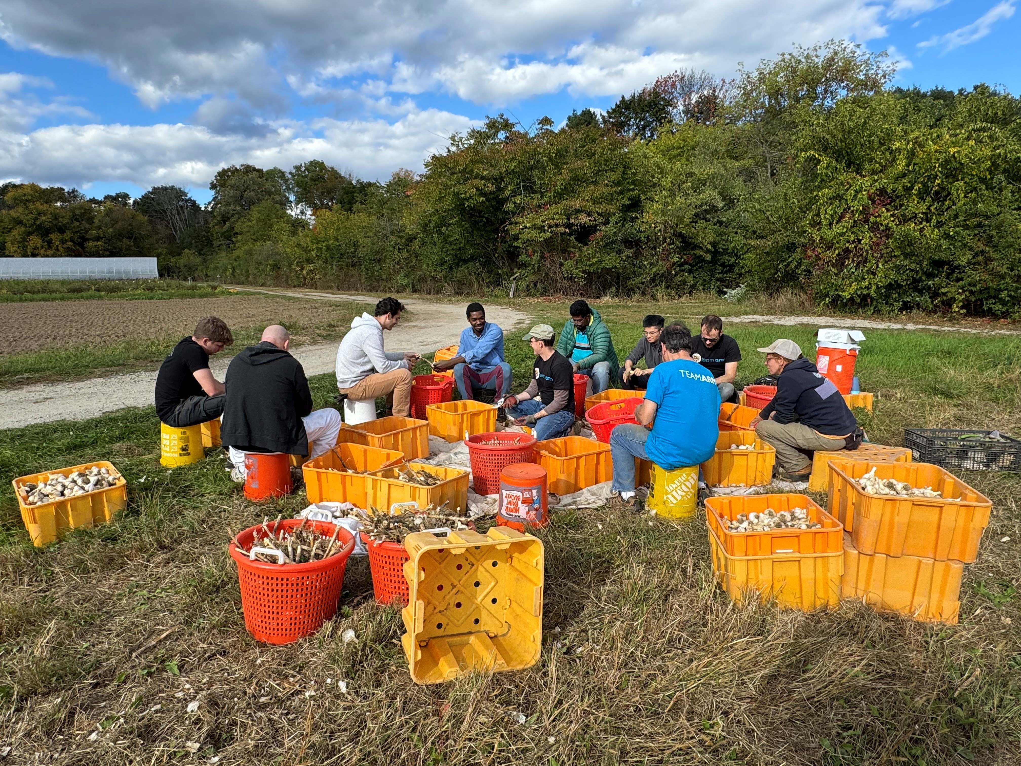 Arm employees volunteering at a farm