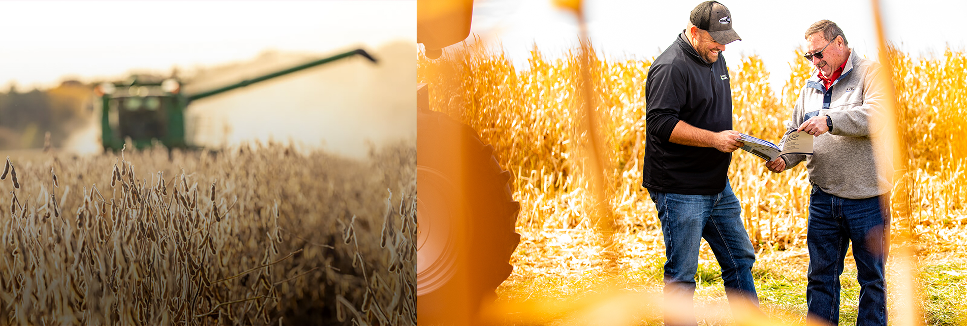 Two men out in the field