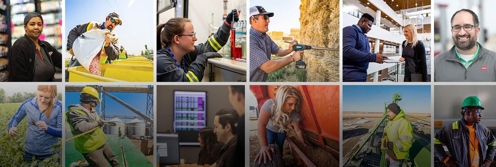 Collage of various career choices in CHS