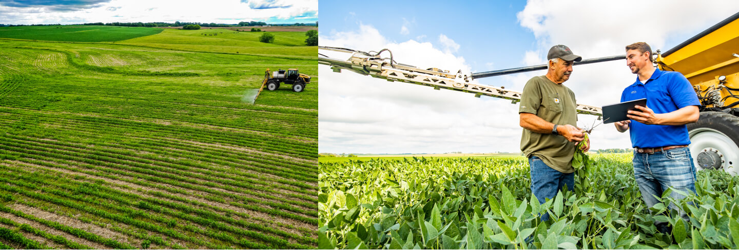 Two employees standing out in a field