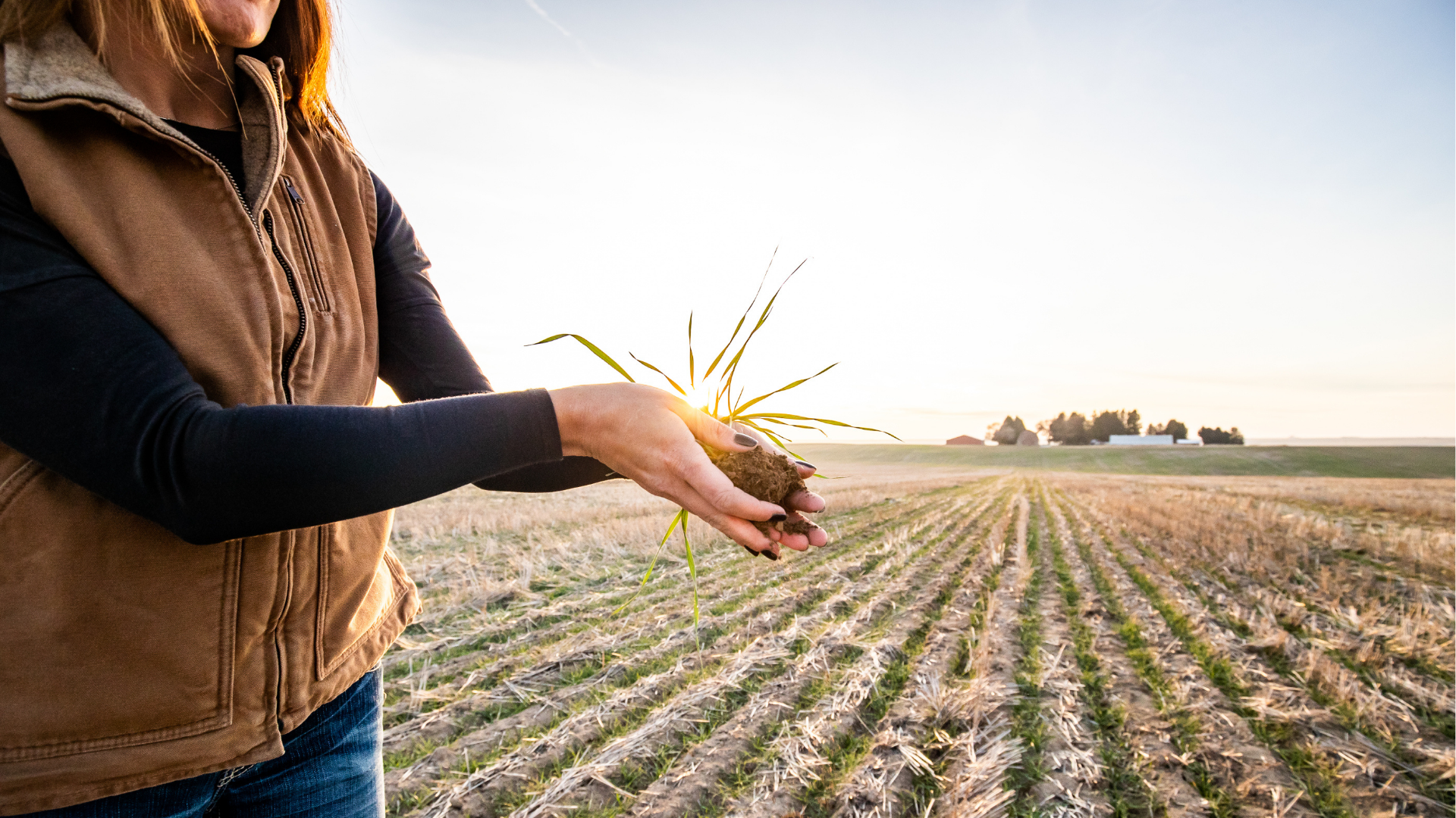 Person holding a plant in their hands.