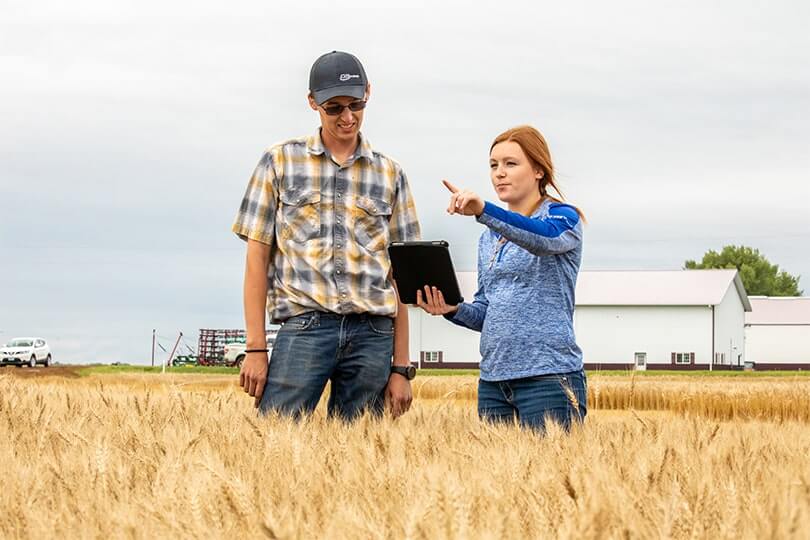 Two employees talking in a field