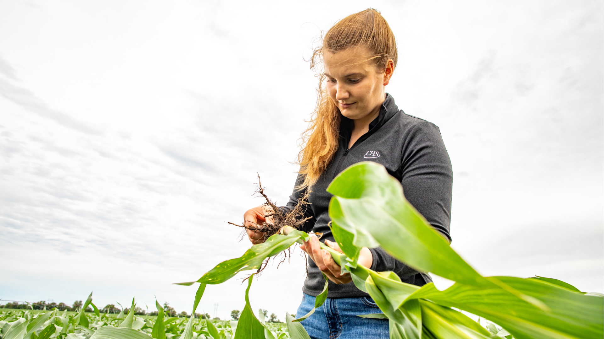 Woman inspecting green crops in field.