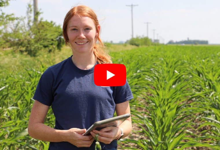 Agronomy operations internship