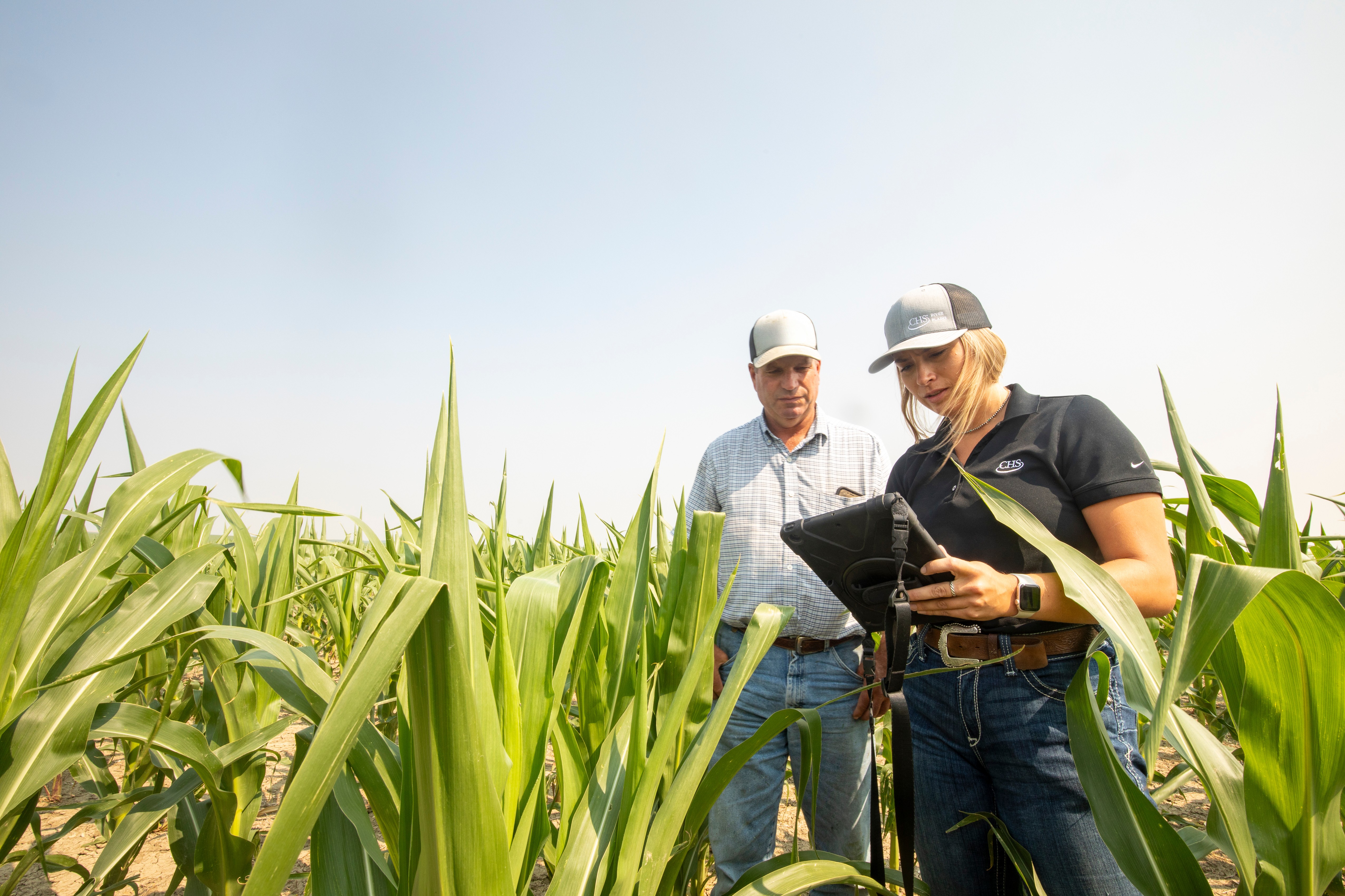 Two employees scouting crops in a field.