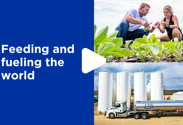 Feeding and fueling the world