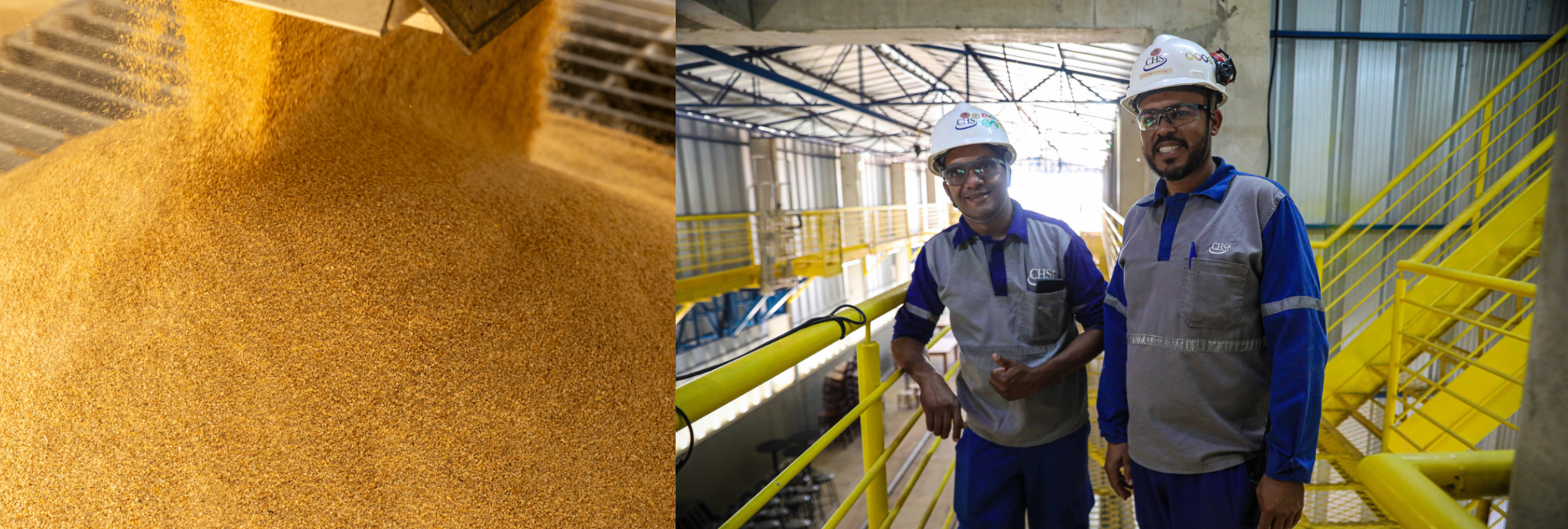 Grãos sendo despejados ao lado de dois trabalhadores com equipamentos de segurança dentro de uma instalação industrial.