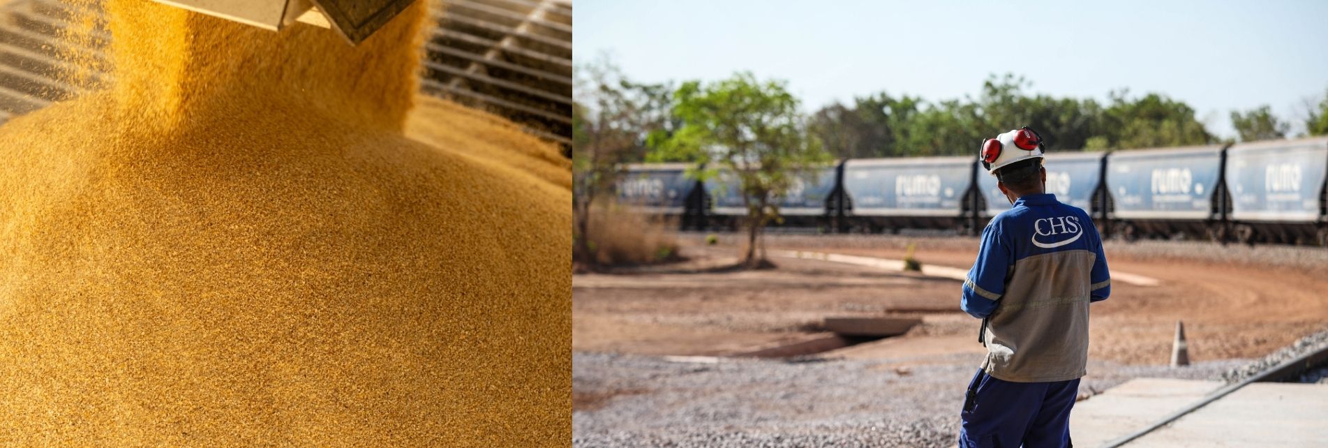 El grano cae en almacenamiento mientras un empleado con equipo de seguridad está de pie cerca de vagones de ferrocarril en una instalación agrícola.