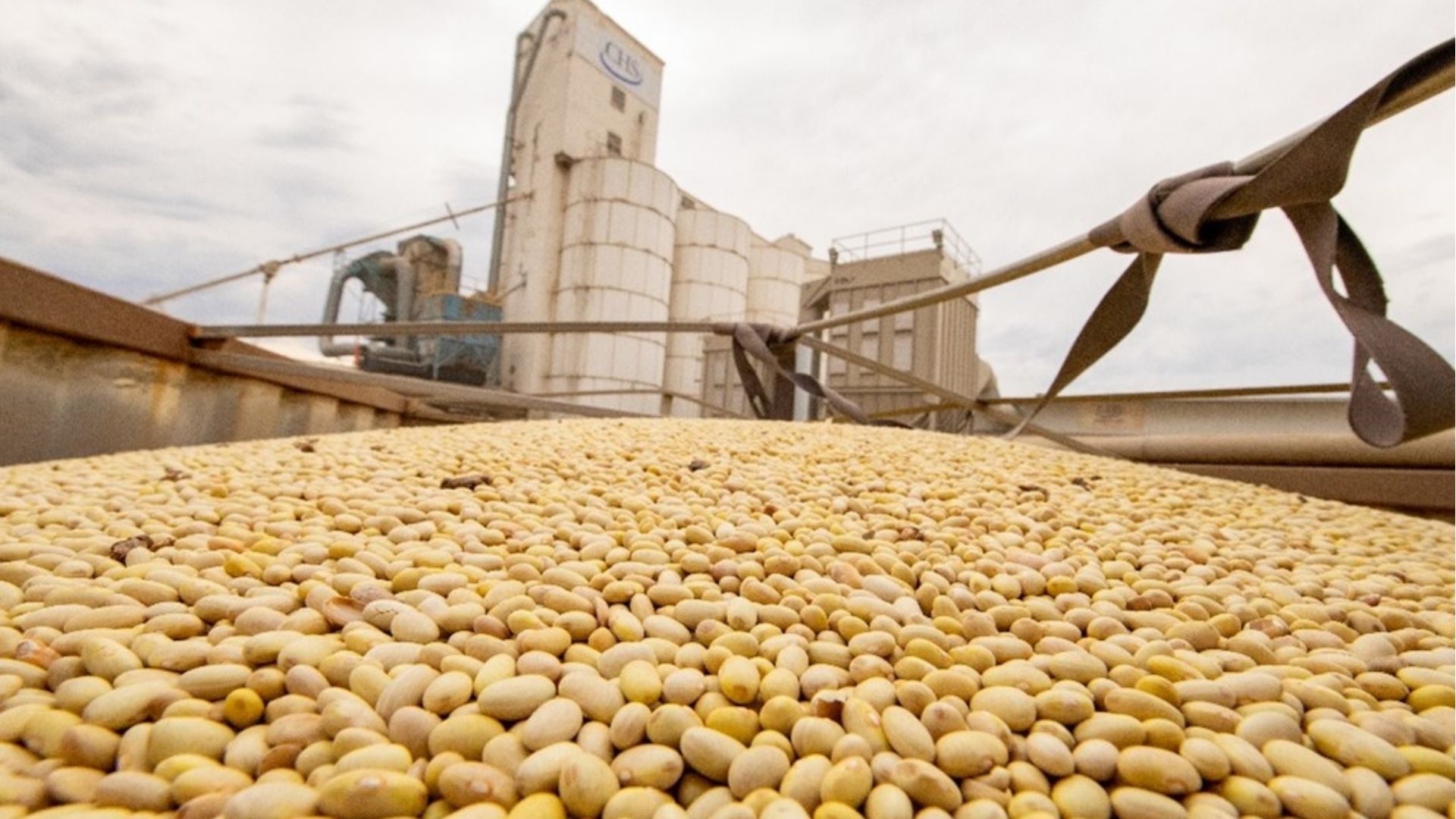 Close-up de grãos de soja amarelos em um contêiner de transporte em uma unidade de grãos da CHS, com grandes silos brancos e equipamentos de processamento ao fundo sob um céu nublado.
