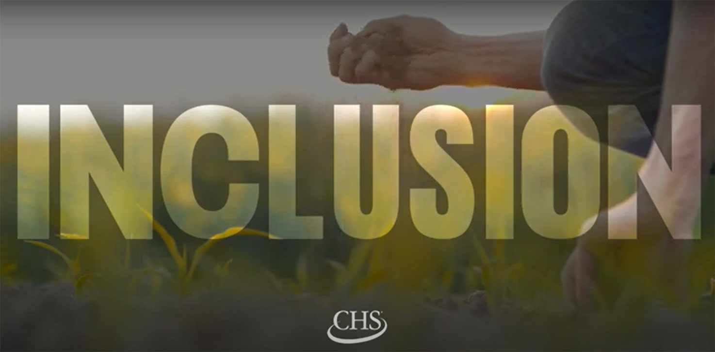 Inclusion and diversity at CHS