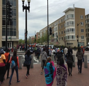 DC Walk Scenic Photo