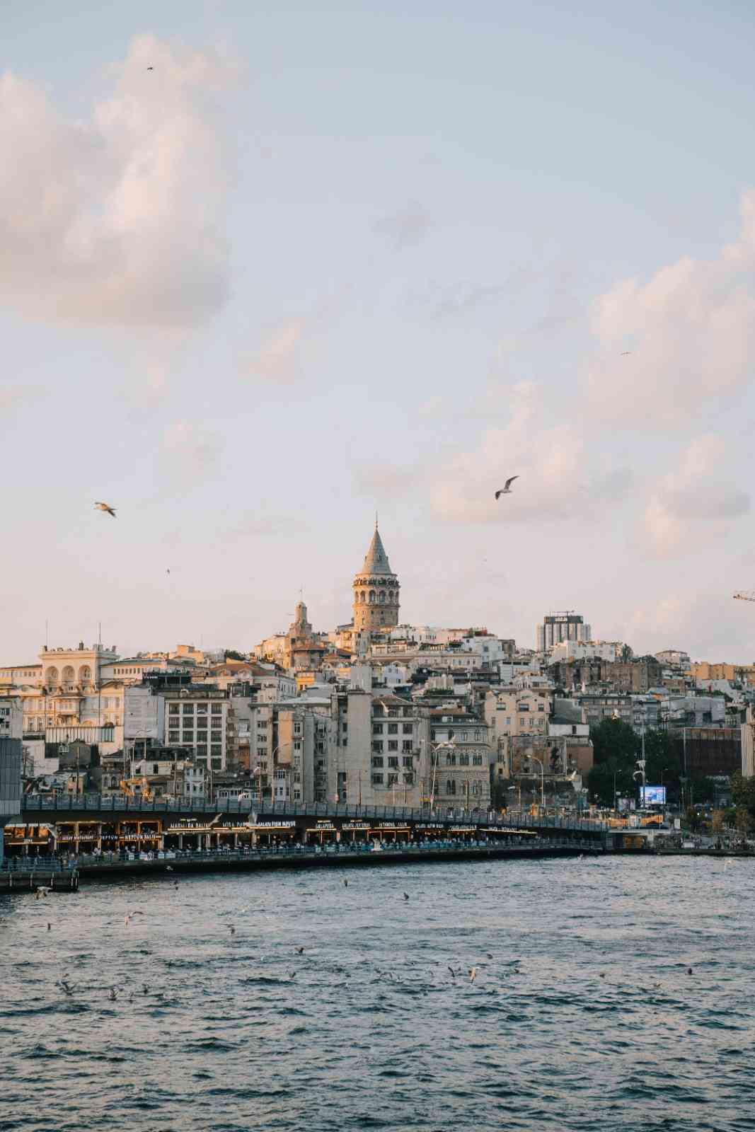 Seaside cityscape with historic tower and flying birds