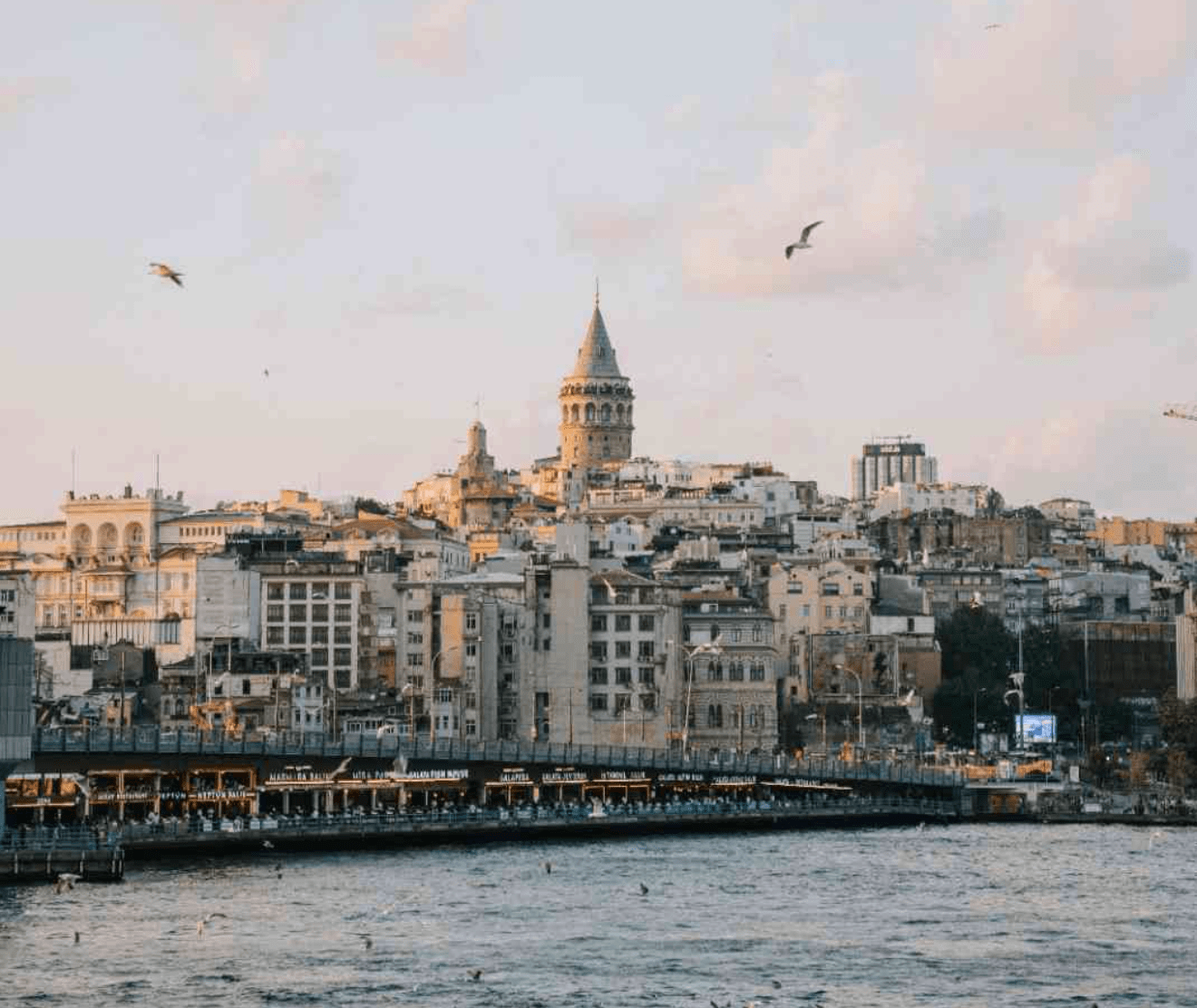 Seaside cityscape with historic tower and flying birds