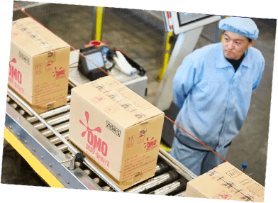 A factory worker looks out over a conveyer belt
